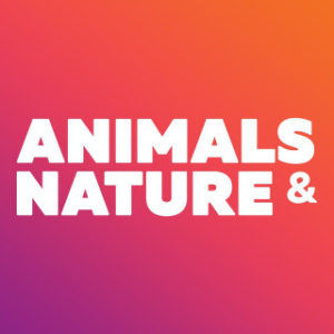 animals nature
