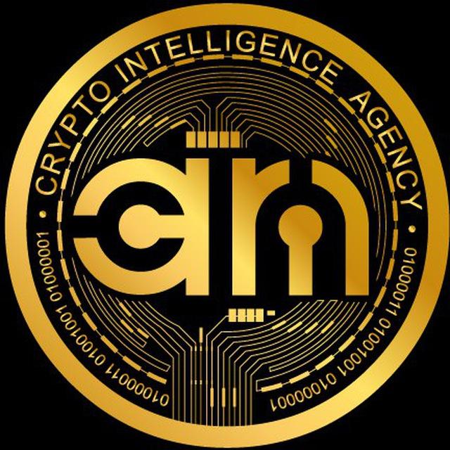 Crypto intelligence agency will help you with smart analysis