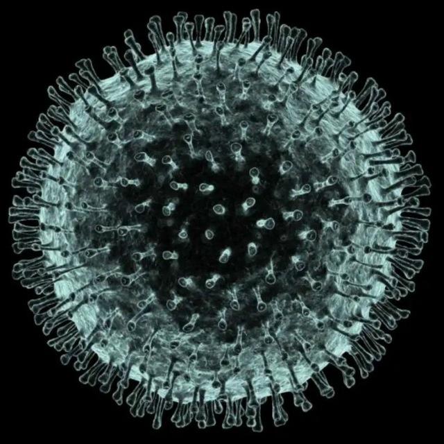 corona virus outbreak updates